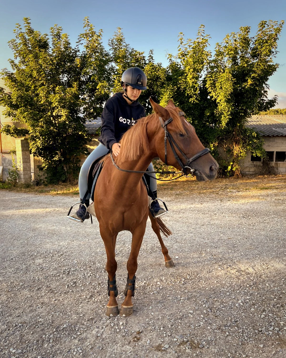 Joven jinete con su caballo bayo al atardecer en Bikuña