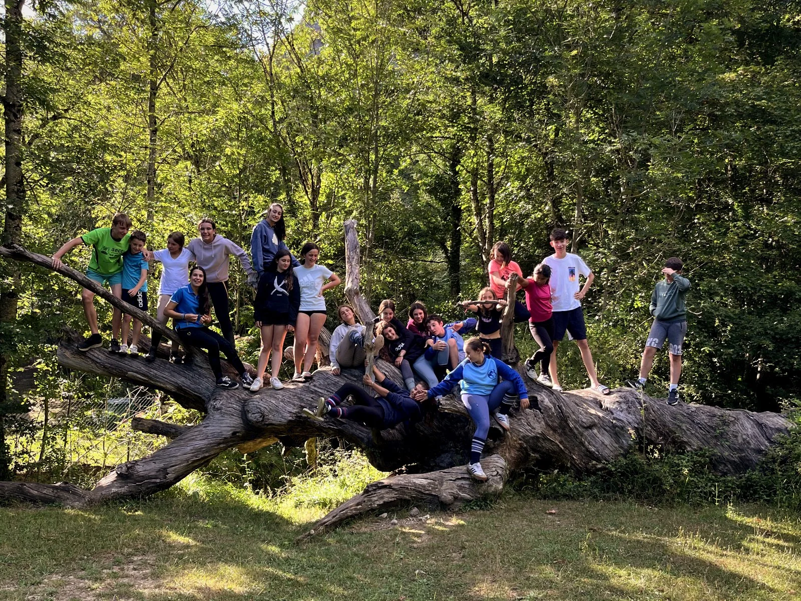 Niños del campamento entre actividades en la finca