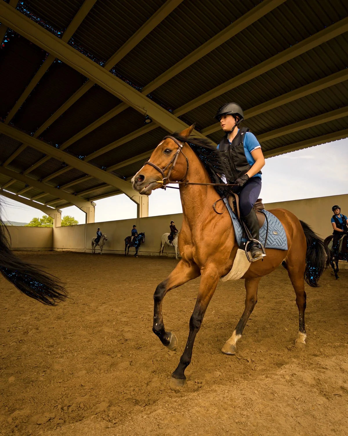 Clase de equitación en pista cubierta